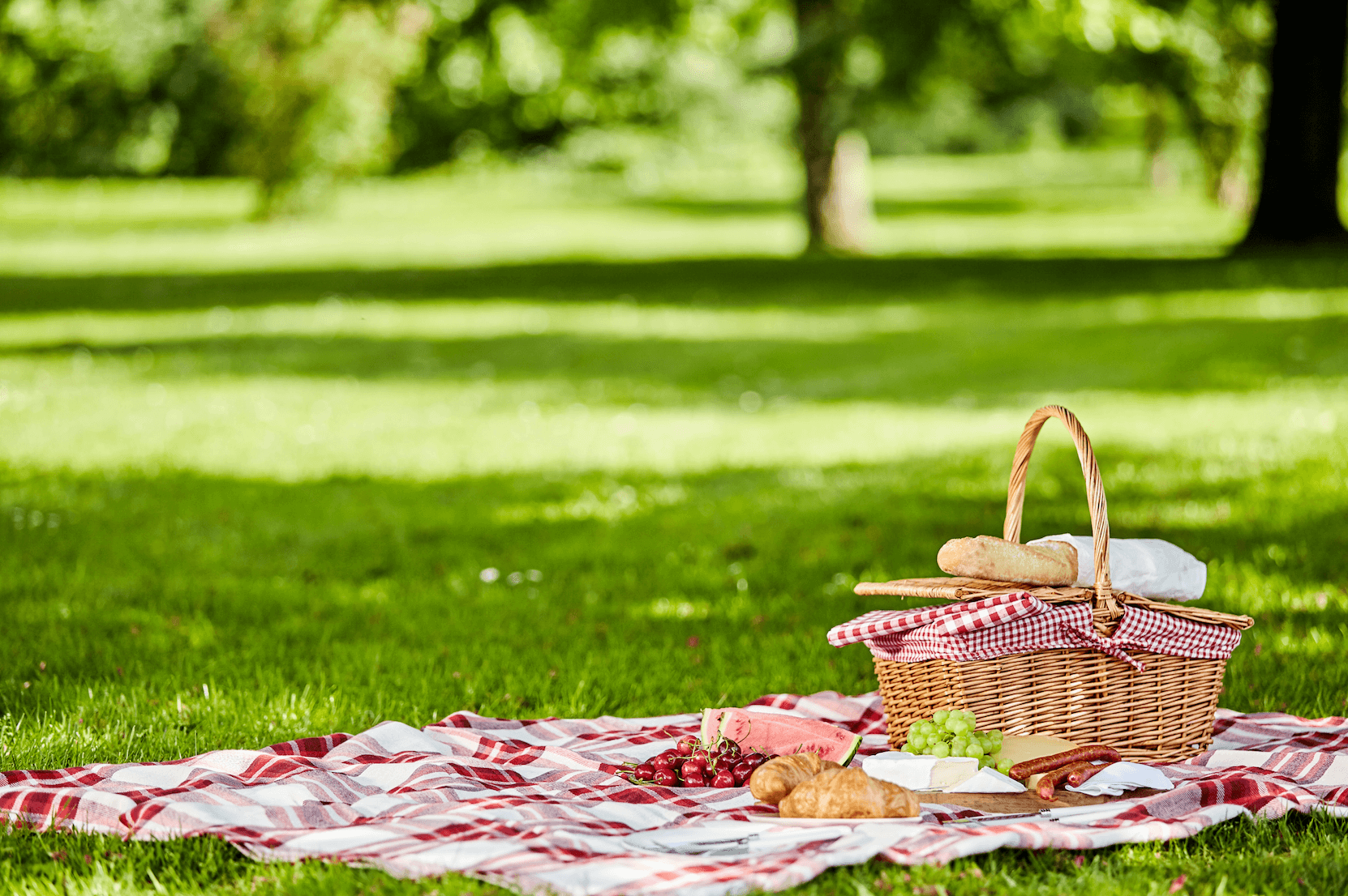 Celebrate International Picnic Day With Delicious Food and Sunshine